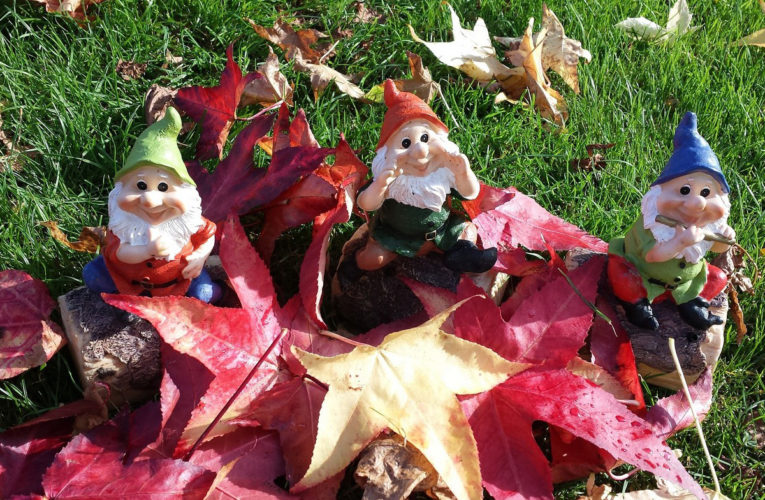 DDR Museum is op zoek naar tuinkabouters